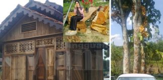 Ada Rahsia Di Sebalik Jemputan Viral Makan Langsat Percuma Di Kuala Pilah