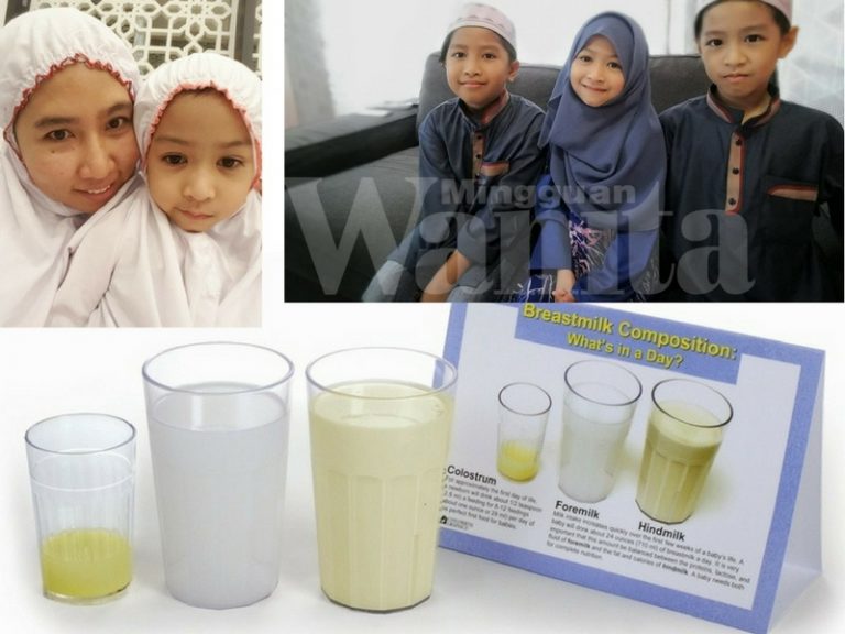 fakta susu ibu