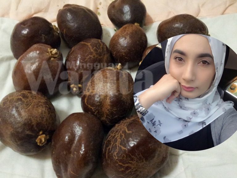 buah zuriat