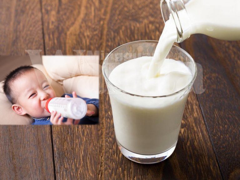 susu sunnah