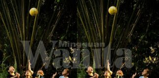 Ada Sebab Orang Dulu Bila Nampak Anak Panjat Pokok, Disindir Lagi Suruh Naik Lebih Tinggi