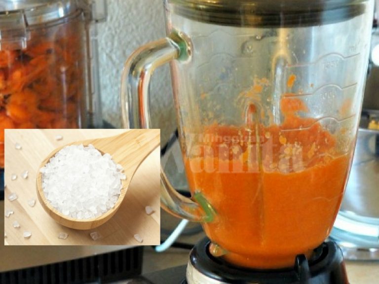 blender