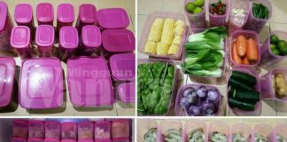 Ibu Ini Kongsi Cara Simpan Lauk Dan Sayur Sebulan, 14 Tahun Amal Dari Mula Kahwin Sampai Sekarang