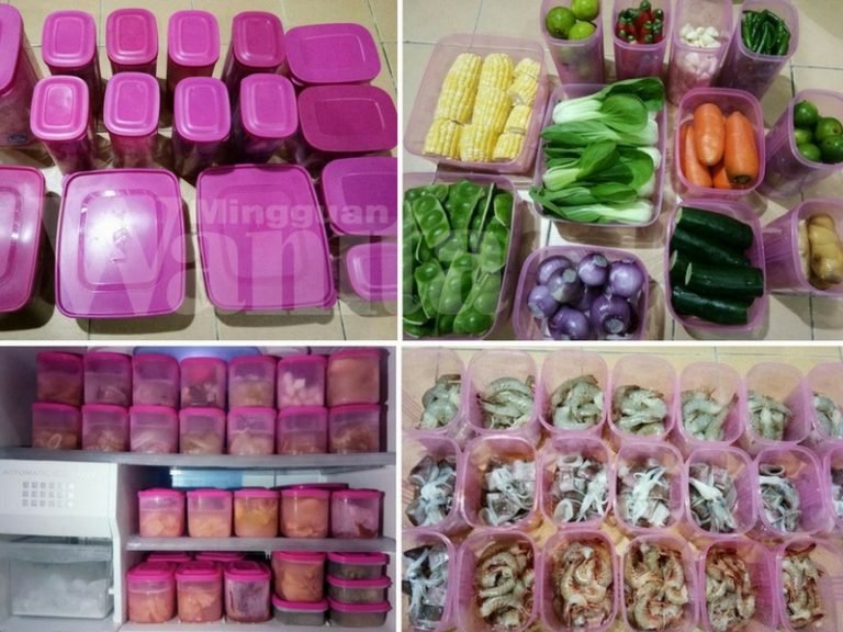 Ibu Ini Kongsi Cara Simpan Lauk Dan Sayur Sebulan, 14 Tahun Amal Dari Mula Kahwin Sampai Sekarang