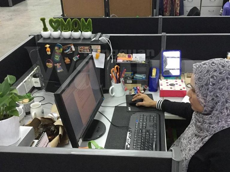 isteri bekerja