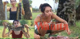 jana pendapatan