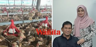 Terlebih Makan Ayam, Boleh Dorong Lelaki Jadi Lembut