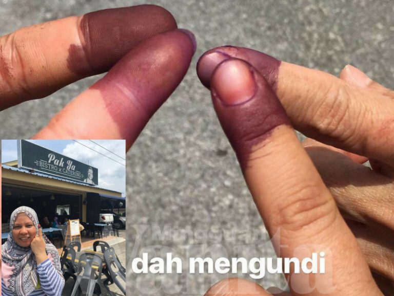 mengundi