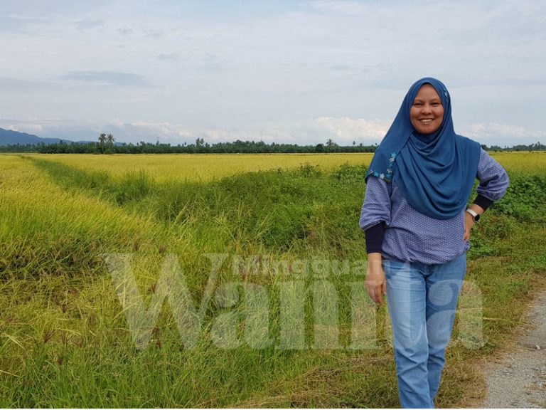 Kisah Pau Dan Jiran Sebelah, Buat Baik Tidak Perlukan Balasan