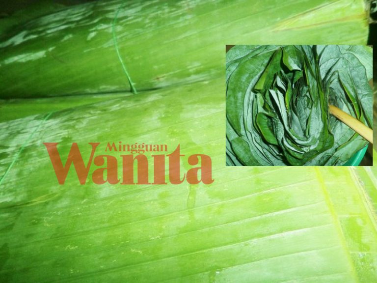 daun pisang