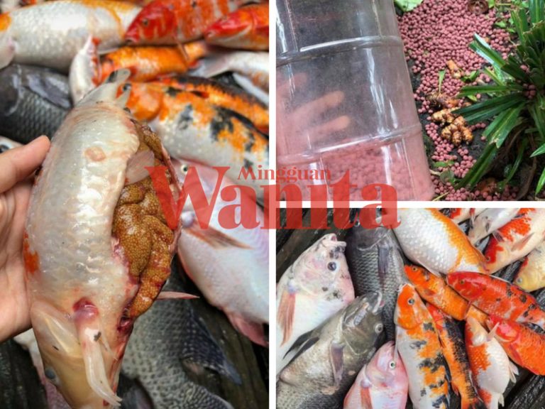 “Bawa Anak-anak Kecil Beraya Boleh Tapi Jangan Sedap Nak Penuhkan Perut Sendiri Je!”
