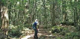 Wanita Ini Lalui Pengalaman Seram, Sebaik Kaki Jejak 'Hutan Bunuh Diri’ Di Jepun