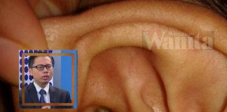 serangga masuk telinga