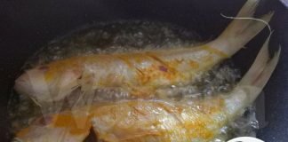 ‘Dulu Saya Pun Nampak 2 Ekor Ikan Je’ Doktor Ini Dedah Pengalaman Urus Isteri Berpantang