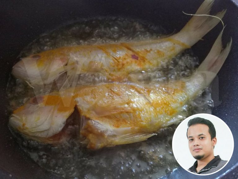 ‘Dulu Saya Pun Nampak 2 Ekor Ikan Je’ Doktor Ini Dedah Pengalaman Urus Isteri Berpantang