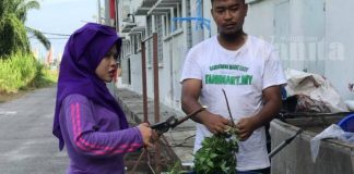 Buat Sendiri Racun Organik Daun Neem, Wanita Tani Ini Buktikan Ulat Jauhi Tanaman