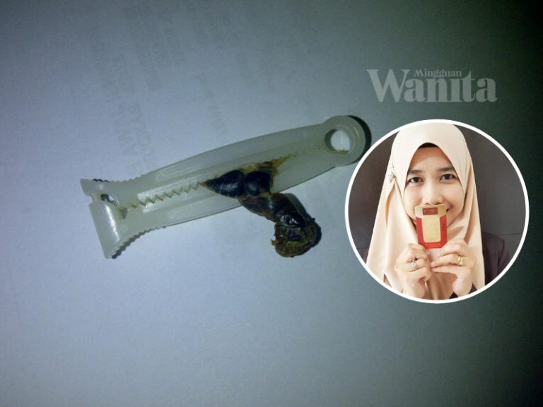 simpan tali pusat anak
