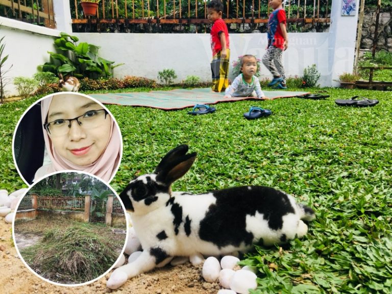 Dari Rumput Terbiar, Ibu Ini Siapkan Laman Belakang Cantik Untuk 5 Beranak