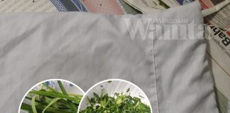 Wanita Ini Kongsi Panduan Sediakan Bantal Pandan Untuk Jenazah