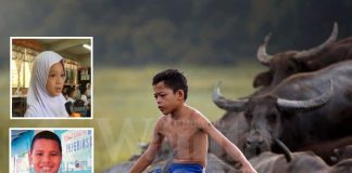 multiple intelligence