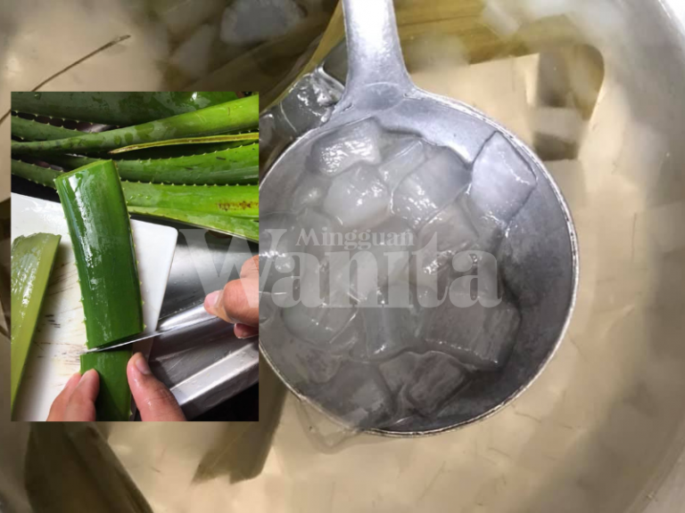 Aloe Vera Jelly Ala Nata De Coco, Kena Ikut Cara Ni Barulah Tak Gatal Tekak Bila Makan!