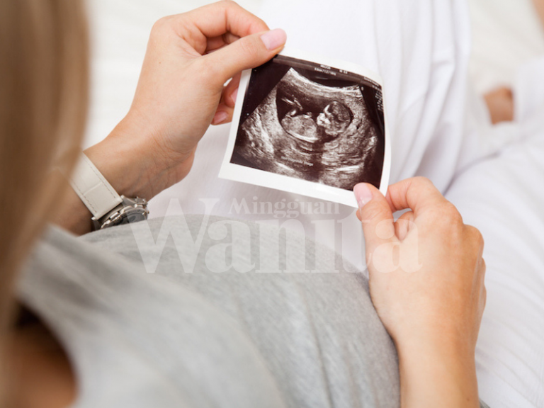 Suami Isteri Jalani Rawatan IVF Bakal Dipertimbangkan Pelepasan Cukai