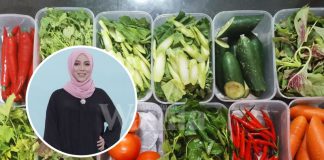 'Jangan Basuh..' Cara Betul Simpan Sayur, Kekal Segar Lebih Seminggu