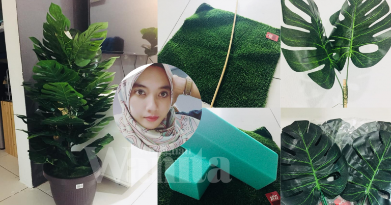 DIY Pokok Viral, Jimat Kos Tak Sampai RM25!
