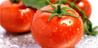 Ada Apa Dengan Tomato?