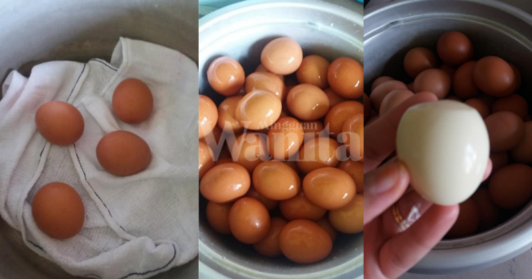 Cara Mudah Masak Telur Guna Rice Cooker Pakai Tuala Basah