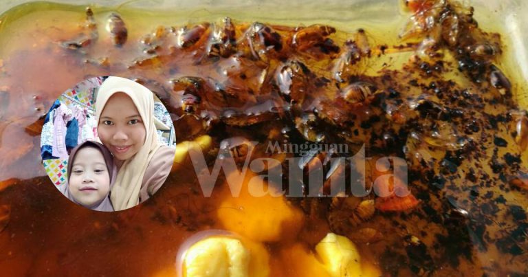 Petua Berkesan Jimat Kos, Perangkap Anak Lipas ‘Berkampung’ Dalam Kereta!
