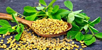 Halba Mampu Tambah Susu Ibu & Bantu Kurangkan Berat Badan Mak-Mak