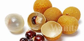 Mak-Mak Boleh Makan Longan Jika Nak Kulit Cantik Bersinar