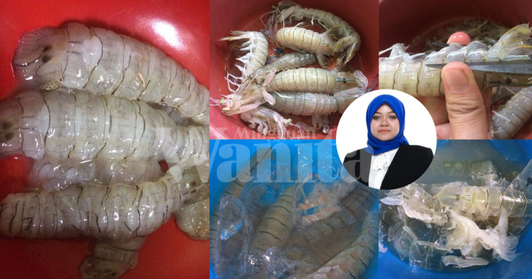 Tanggalkan Isi Udang Ketak Seketul-Seketul Tak Melekat, Rendam Dalam Ais 2Jam!