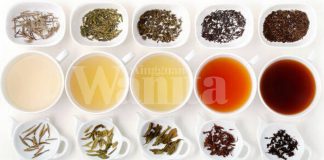 Pilih Sahaja Jenis Teh Disukai Sebab Setiap Satu Ada Khasiat Tersendiri