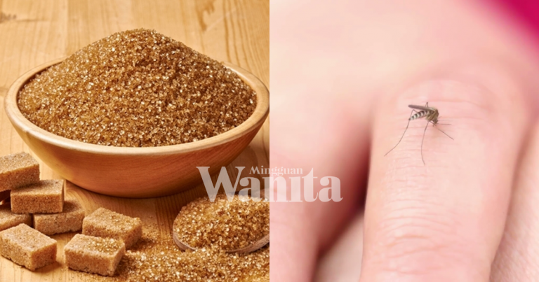 DIY: Cara Mudah Halau Nyamuk
