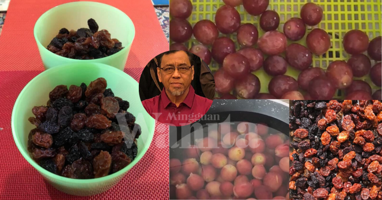 Cara “Homemade” Buat Kismis Sendiri, Jemur Sampai Buah Anggur Jadi Kecut!