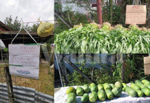 Penduduk Kampung Kongsi REZEKI Beri Sayur, Buah PERCUMA Sepanjang Tempoh PKP