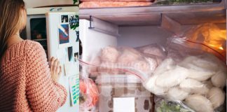 Berapa Lama Kita Boleh Simpan Makanan Dalam Peti Sejuk Beku @ Freezer?