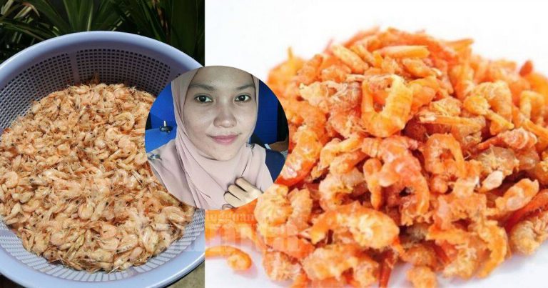 Buat SENDIRI Udang Kering, Tambah Garam, Masak Sampai Air Kering, JEMUR