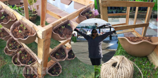 DIY Pasu Gantung Bajet, Tanam Sayur Boleh…Tanam Bunga Pun Cantik!