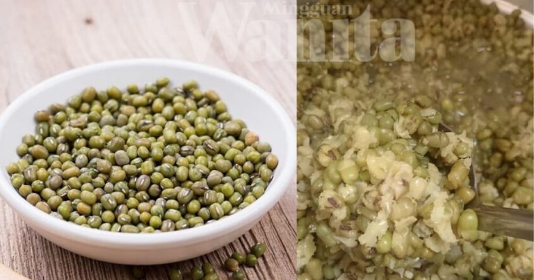 Tempek Kacang Hijau Suam Rahsia Aset Mantap