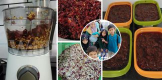 Mudah Guna Food Processor Buang Biji Lada Kering, Takyah Gunting Satu-satu