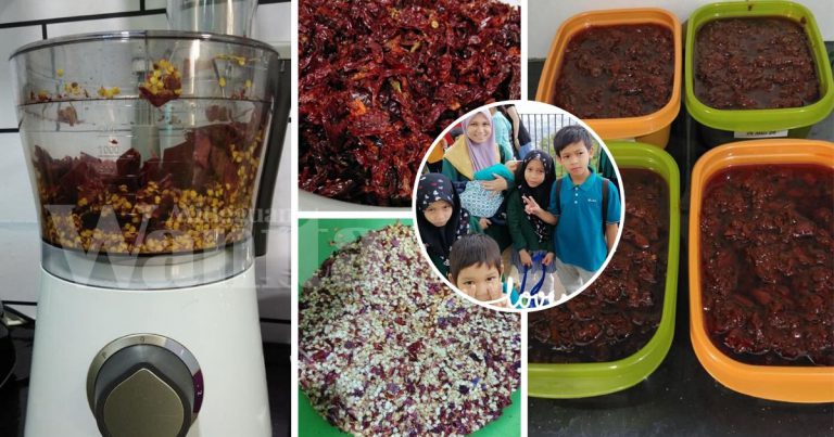 Mudah Guna Food Processor Buang Biji Lada Kering, Takyah Gunting Satu-satu