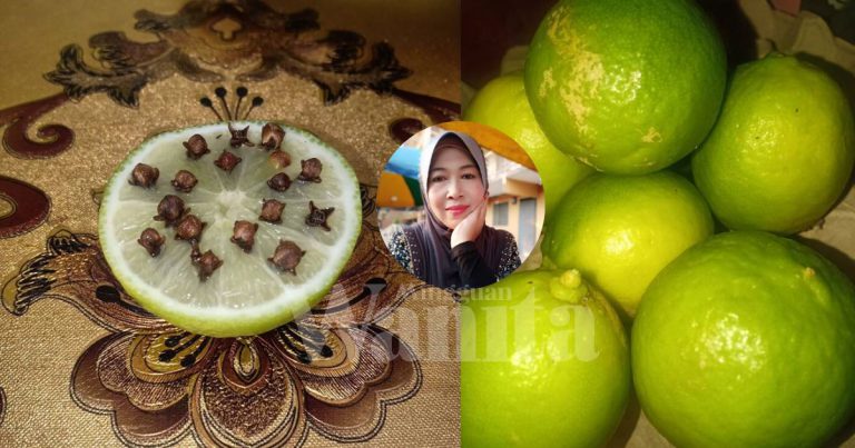 Cucuk Cengkih Pada Limau Nipis, Betul-Betul Menjadi Petua Halau Lalat Ni