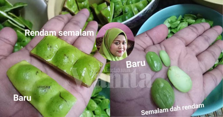 Rendam, Selang Sehari Tukar Air, Petai Jadi Lebih Besar,Segar & Rangup!