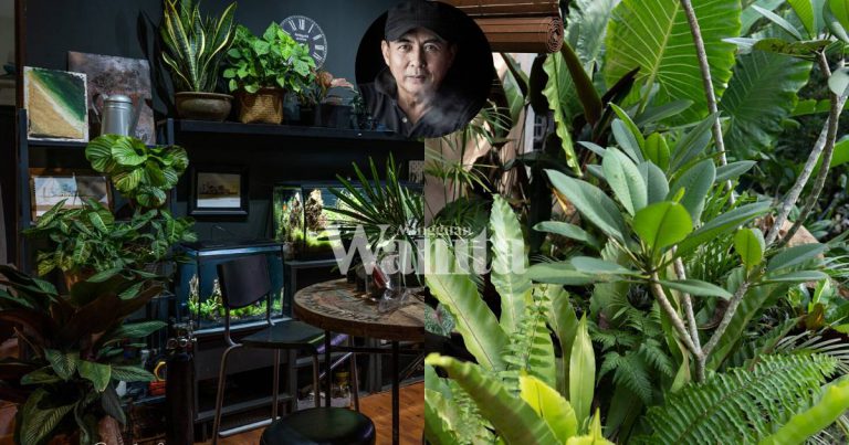 Tanam Pokok Hidup Kena Ada TANGGUNGJAWAB, Jangan ‘Hangat-Hangat Tahi Ayam’