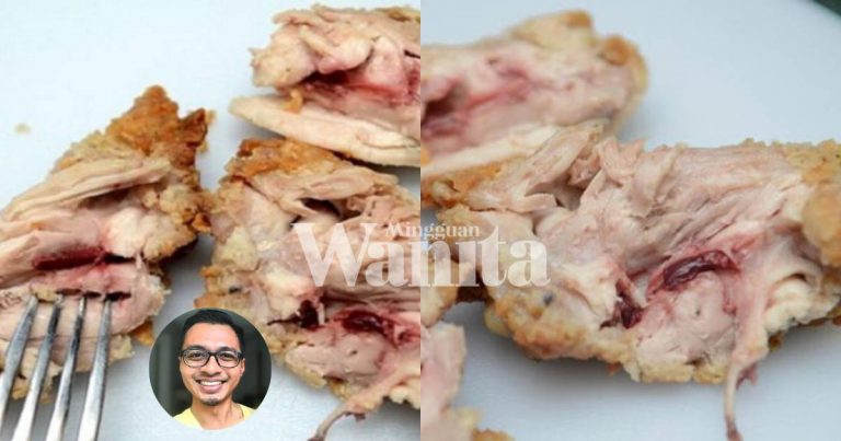 Makan Ayam Tak Masak Boleh Jadi Punca Jangkitan Salmonella Pada Anak-Anak