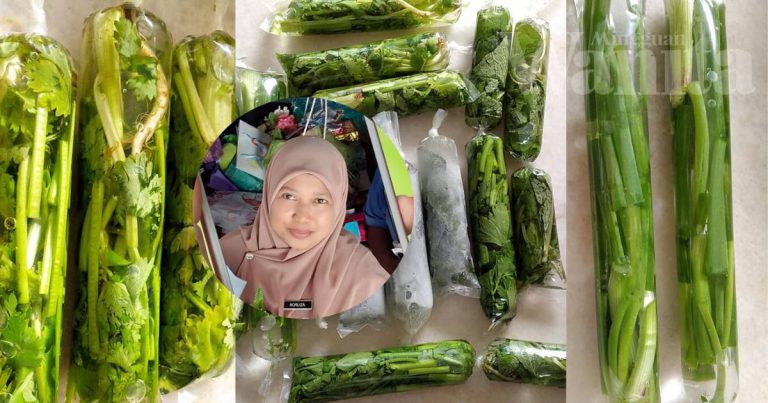 Cara Simpan Sayuran Herba Dalam Plastik Aiskrim, KEKAL SEGAR Dan Tahan LAMA!