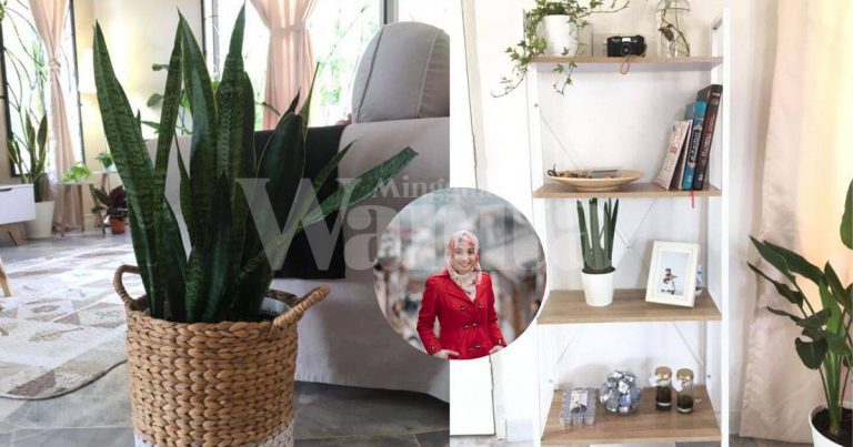 Lebih Air Buat Akar Pokok Indoor Mati, Bukan Salah Tangan “Panas”